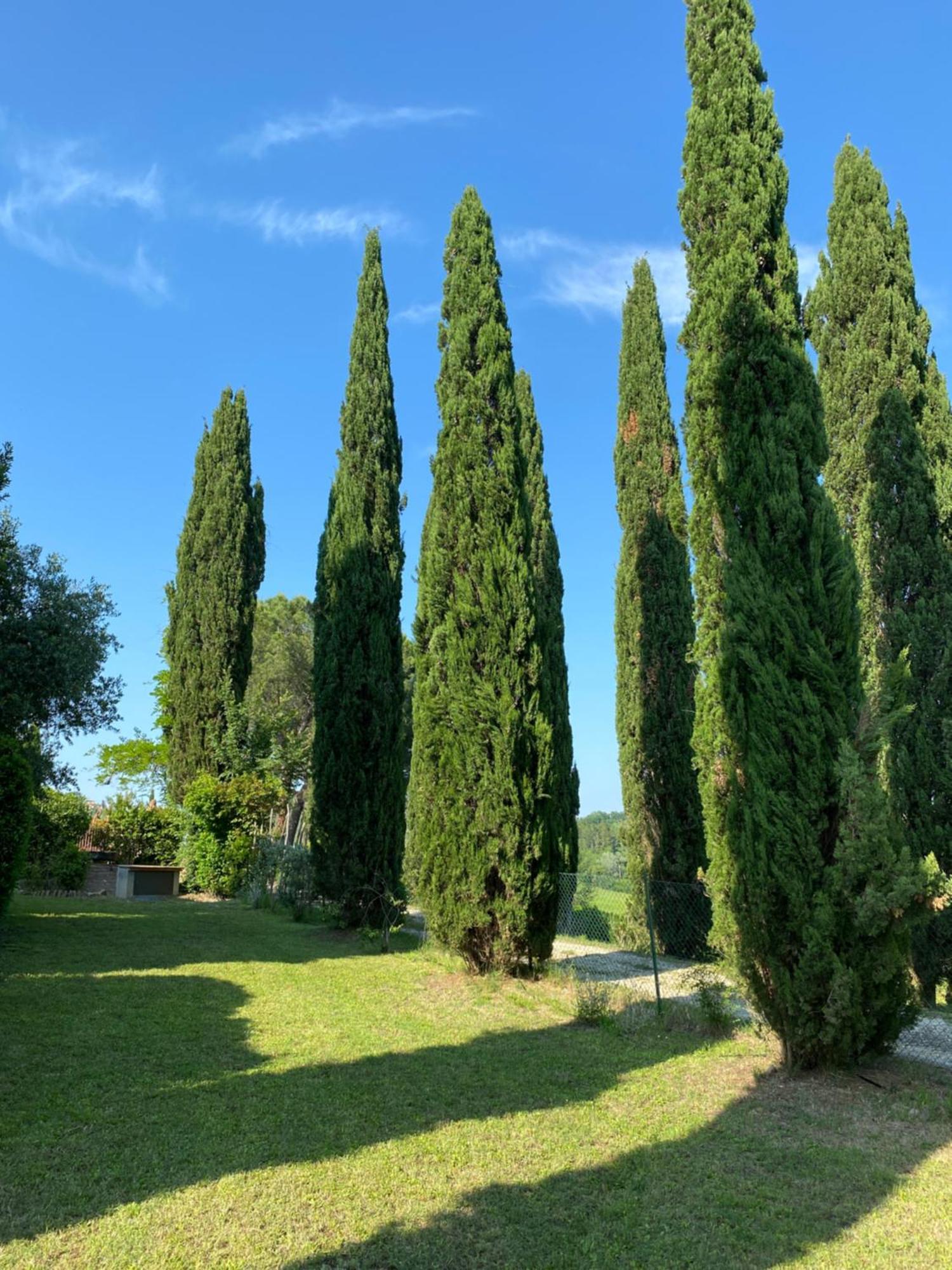 Villa Tre Colli - In The Heart Of Tuscany Certaldo Eksteriør bilde
