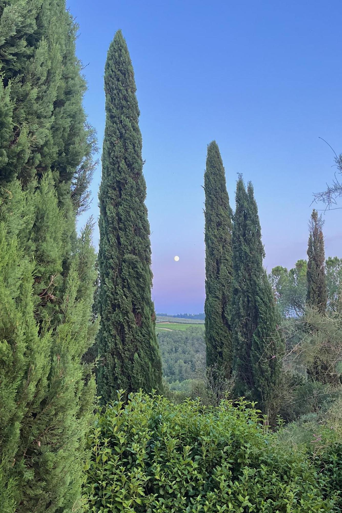Villa Tre Colli - In The Heart Of Tuscany Certaldo Eksteriør bilde